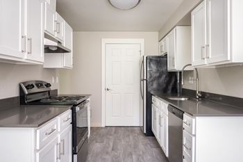 Twin creeks | kitchen